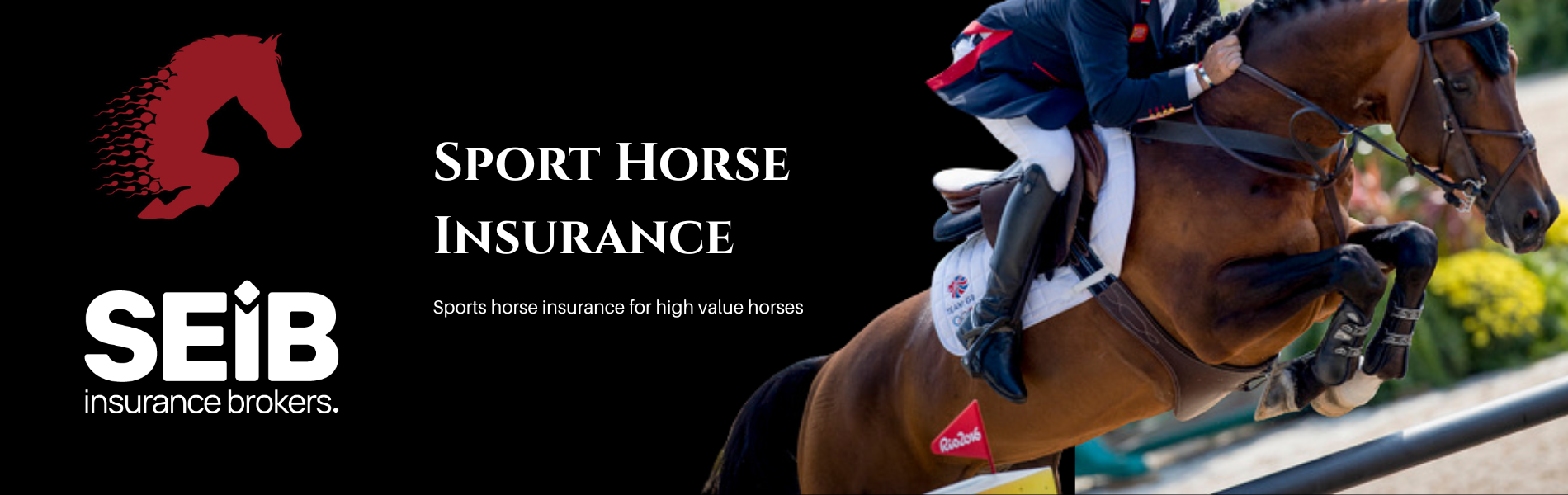 SEIB Sport Horse Insurance